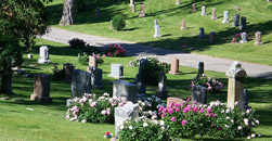 Dreamland Cemetery